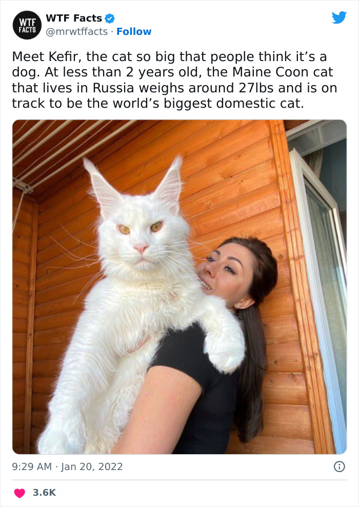 Interesting-Random-Facts