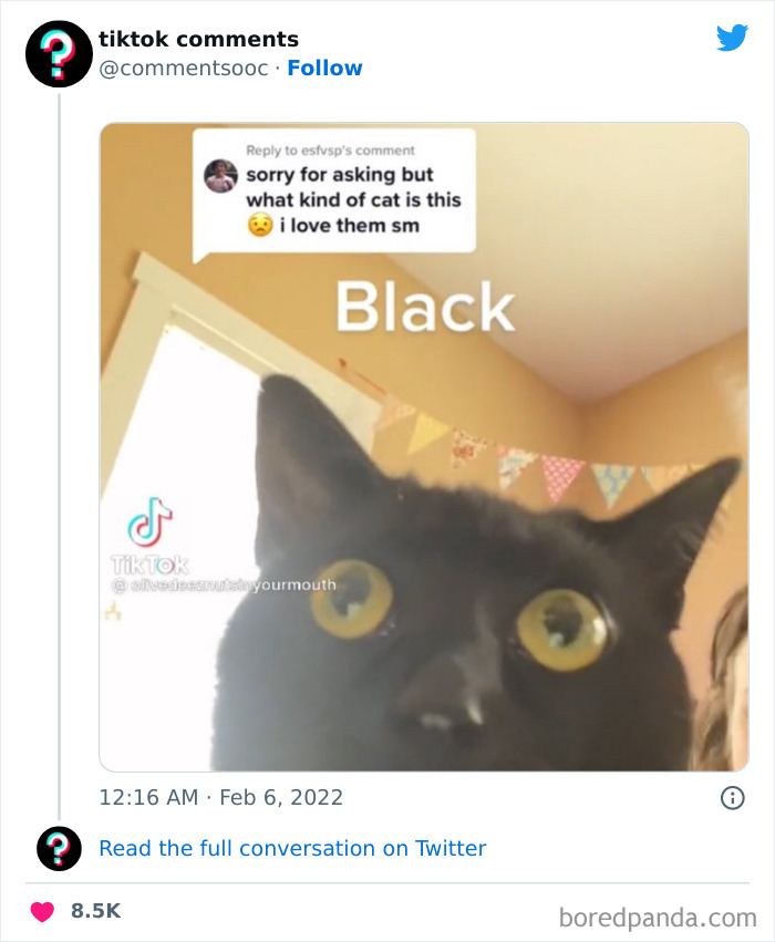 Funny-Tiktok-Comments