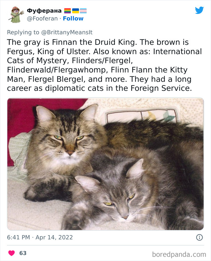 Funny-Cat-Names