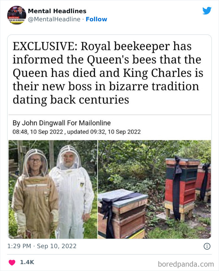 Funny-Mental-News-Headlines