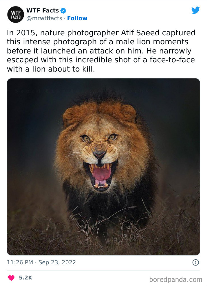 Interesting-Random-Facts