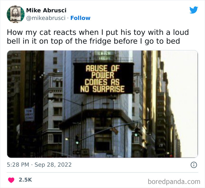Funny-Cat-Tweets-Jokes