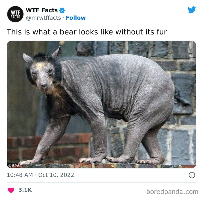 Interesting-Random-Facts