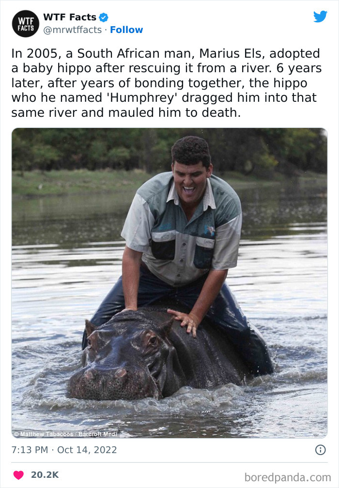 Interesting-Random-Facts