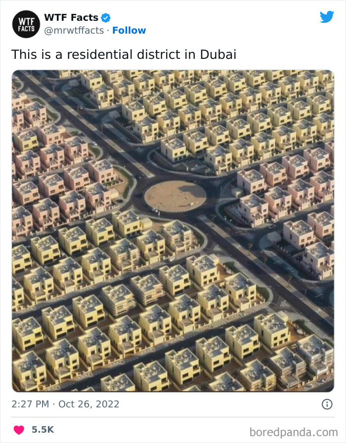 Interesting-Random-Facts