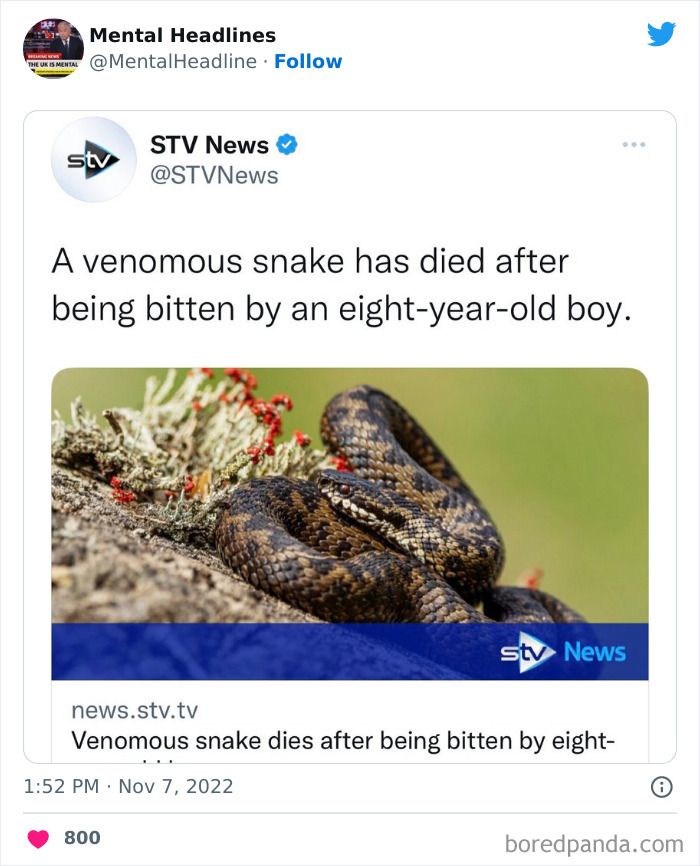 Funny-Mental-News-Headlines