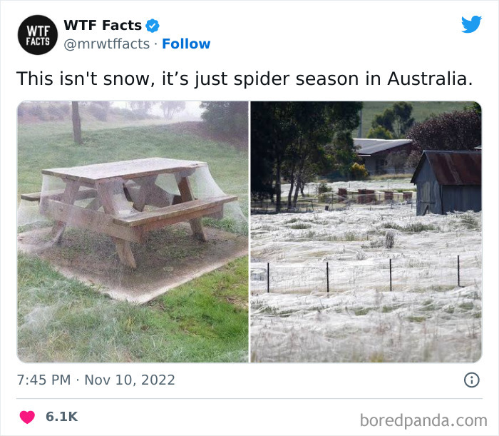 Interesting-Random-Facts