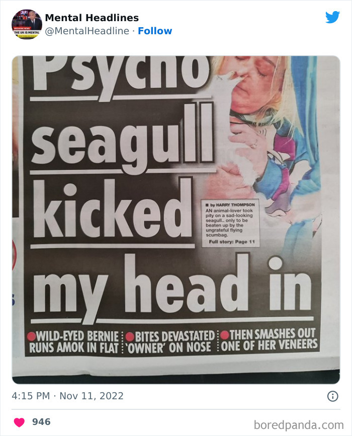 Funny-Mental-News-Headlines