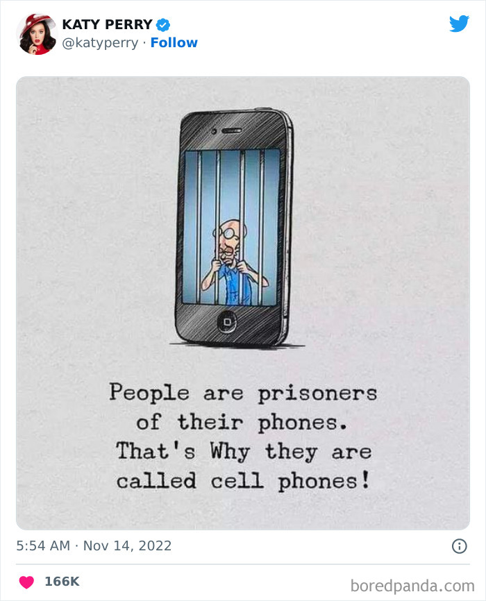 Official-Social-Media-Accounts-Weird-Stuff