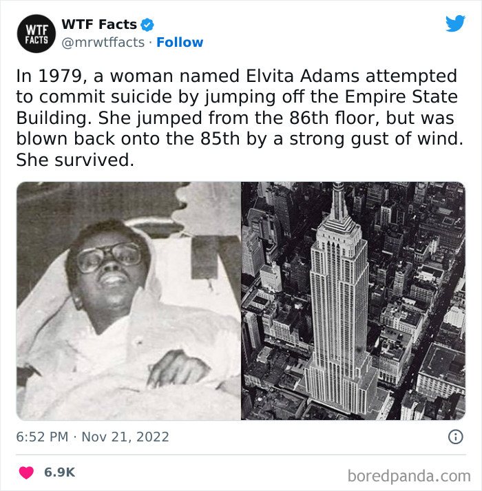 Interesting-Random-Facts