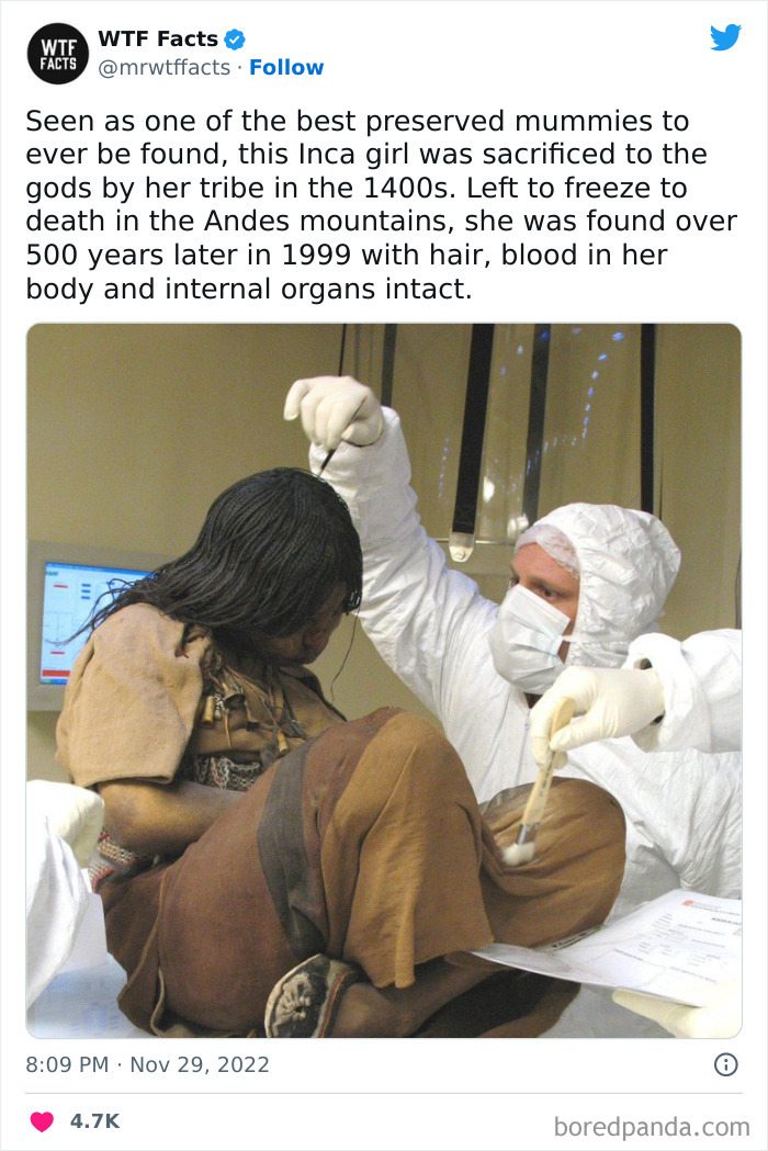 Interesting-Random-Facts