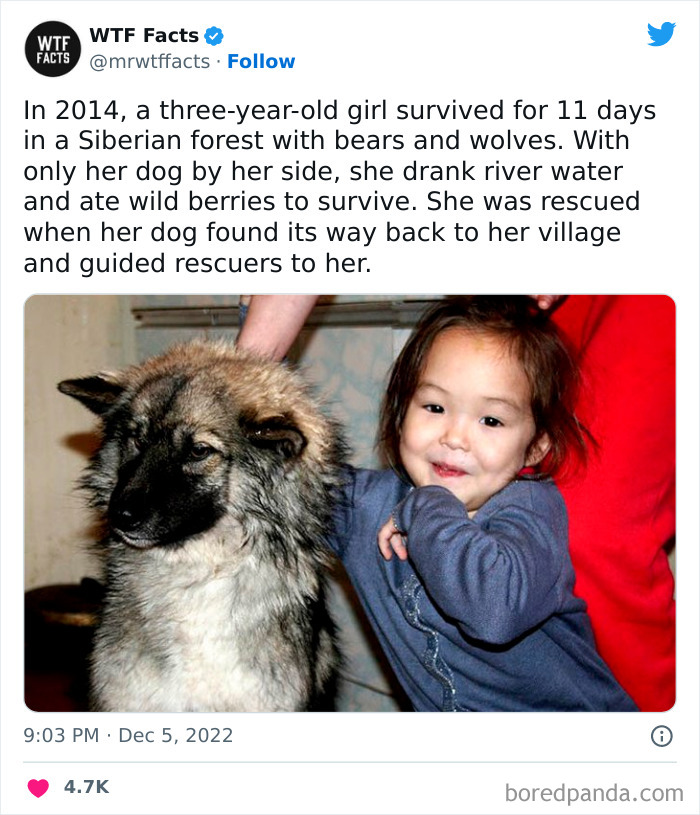 Interesting-Random-Facts