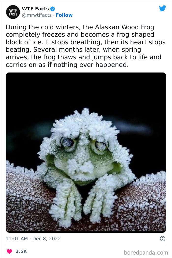 Interesting-Random-Facts