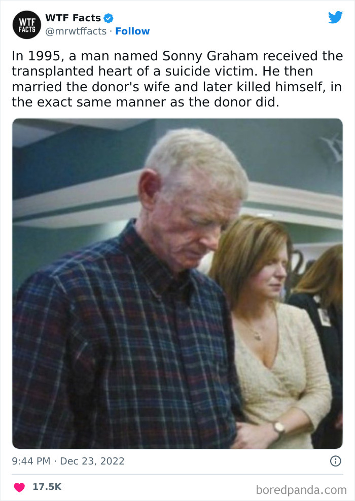 Interesting-Random-Facts