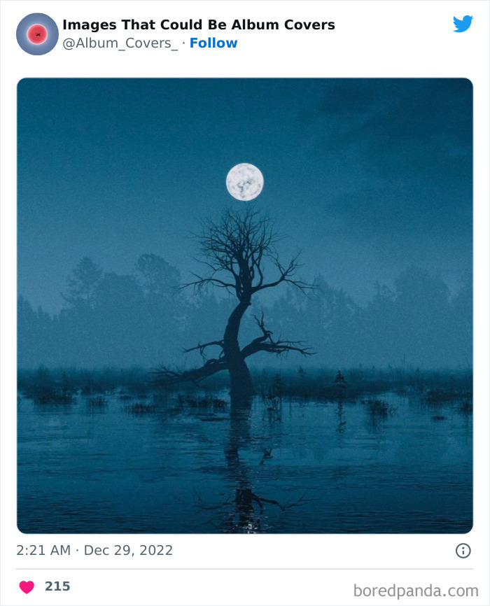 40 Images That Are So Cool And Unusual They Could Totally Work As Album Covers