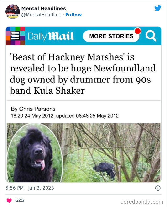 Funny-Mental-News-Headlines