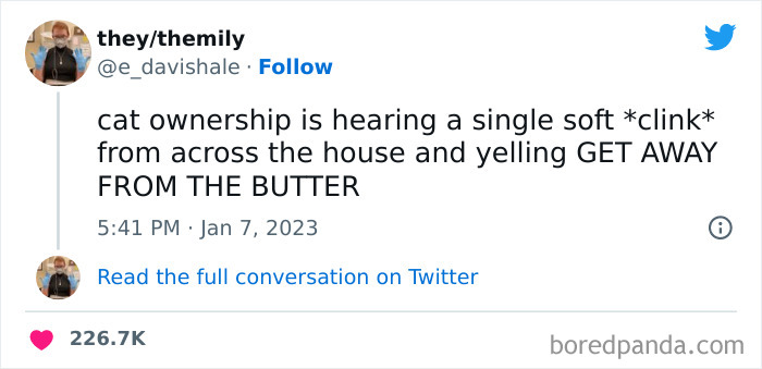 Funny-Cat-Tweets-Jokes