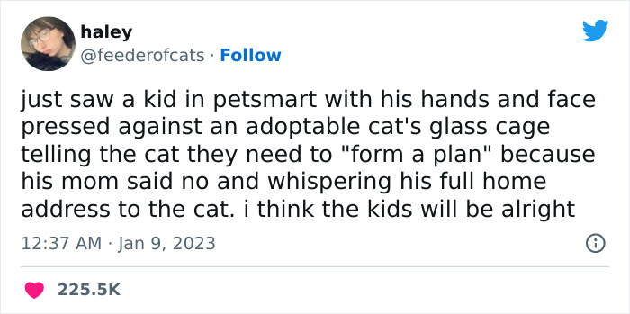 Wholesome Story Of A Boy Whispering His Address To A Cat At The Pet Store Because His Mom Said No, Goes Viral Capturing The Hearts Of Over 200k Twitter Users Wholesome Story Of A Boy Whispering His Address To A Cat At The Pet Store Because His Mom Said No, Goes Viral Capturing The Hearts Of Over 200k Twitter Users