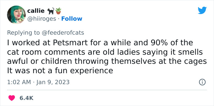 Wholesome Story Of A Boy Whispering His Address To A Cat At The Pet Store Because His Mom Said No, Goes Viral Capturing The Hearts Of Over 200k Twitter Users Wholesome Story Of A Boy Whispering His Address To A Cat At The Pet Store Because His Mom Said No, Goes Viral Capturing The Hearts Of Over 200k Twitter Users