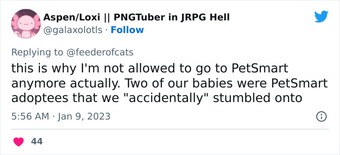 Wholesome Story Of A Boy Whispering His Address To A Cat At The Pet Store Because His Mom Said No, Goes Viral Capturing The Hearts Of Over 200k Twitter Users Wholesome Story Of A Boy Whispering His Address To A Cat At The Pet Store Because His Mom Said No, Goes Viral Capturing The Hearts Of Over 200k Twitter Users