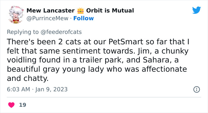 Wholesome Story Of A Boy Whispering His Address To A Cat At The Pet Store Because His Mom Said No, Goes Viral Capturing The Hearts Of Over 200k Twitter Users Wholesome Story Of A Boy Whispering His Address To A Cat At The Pet Store Because His Mom Said No, Goes Viral Capturing The Hearts Of Over 200k Twitter Users