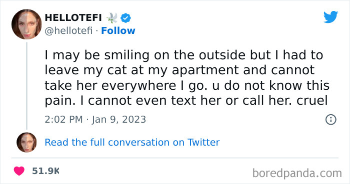 Funny-Cat-Tweets-Jokes