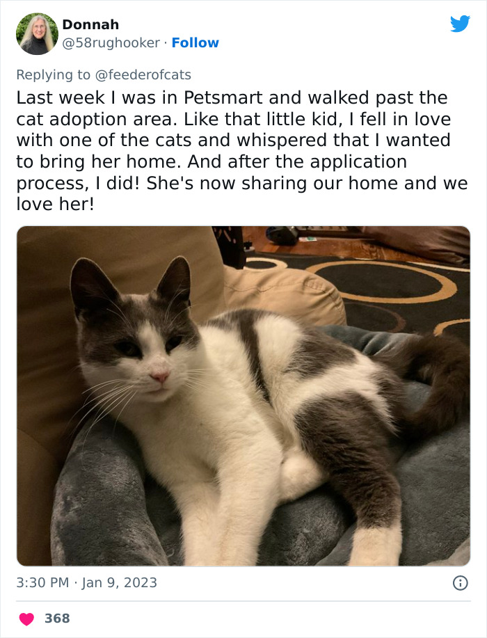 Wholesome Story Of A Boy Whispering His Address To A Cat At The Pet Store Because His Mom Said No, Goes Viral Capturing The Hearts Of Over 200k Twitter Users Wholesome Story Of A Boy Whispering His Address To A Cat At The Pet Store Because His Mom Said No, Goes Viral Capturing The Hearts Of Over 200k Twitter Users