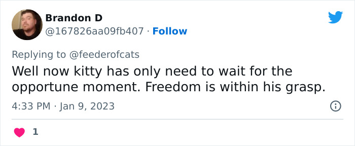 Wholesome Story Of A Boy Whispering His Address To A Cat At The Pet Store Because His Mom Said No, Goes Viral Capturing The Hearts Of Over 200k Twitter Users Wholesome Story Of A Boy Whispering His Address To A Cat At The Pet Store Because His Mom Said No, Goes Viral Capturing The Hearts Of Over 200k Twitter Users