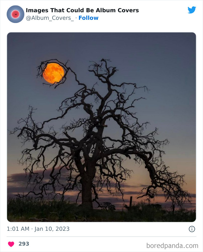 40 Images That Are So Cool And Unusual They Could Totally Work As Album Covers
