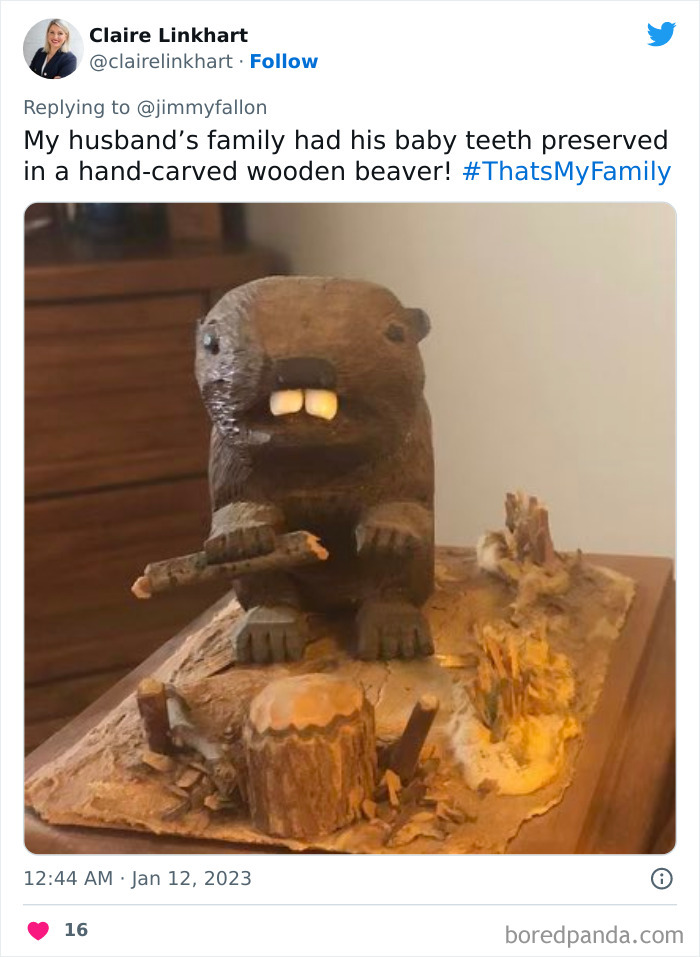 My-Family-Is-Weird-Jimmy-Fallon-Tweets