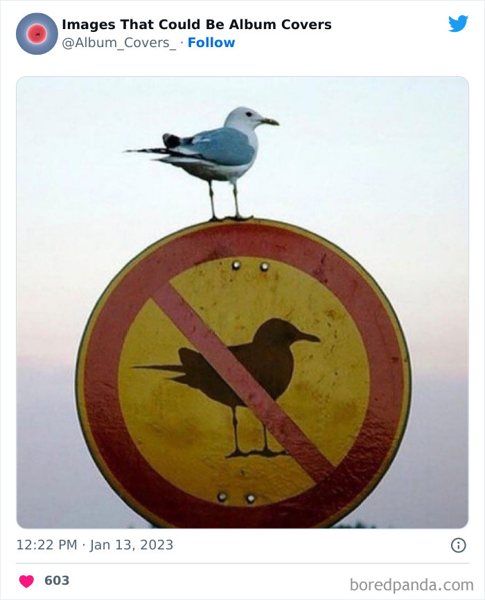 40 Images That Are So Cool And Unusual They Could Totally Work As Album Covers