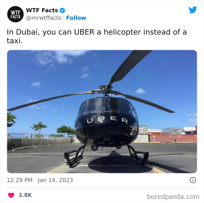 Interesting-Random-Facts