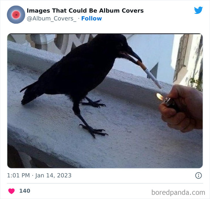 Beautiful-Images-That-Could-Be-Album-Covers