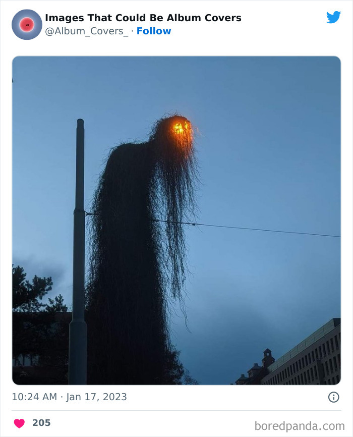 40 Images That Are So Cool And Unusual They Could Totally Work As Album Covers