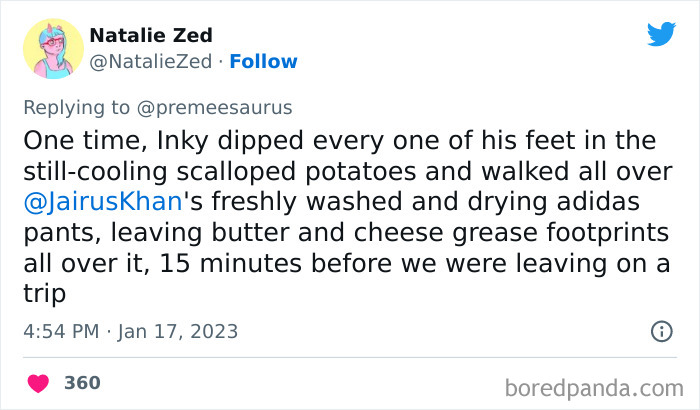 Biggest-Crimes-Committed-By-Cats