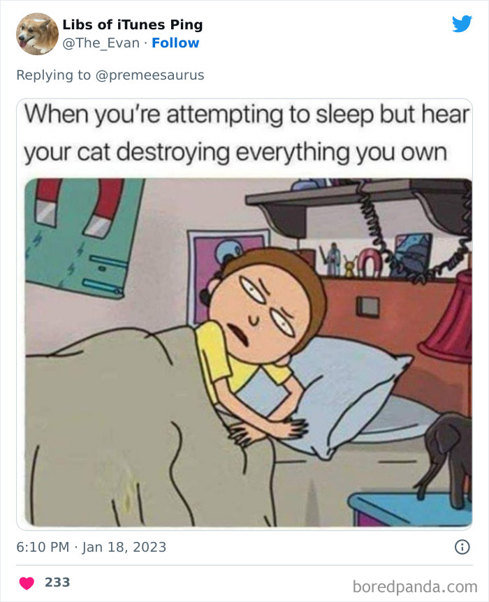 Biggest-Crimes-Committed-By-Cats