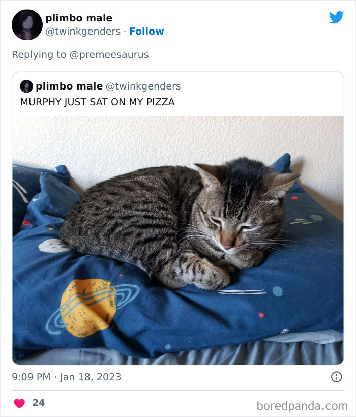 Biggest-Crimes-Committed-By-Cats