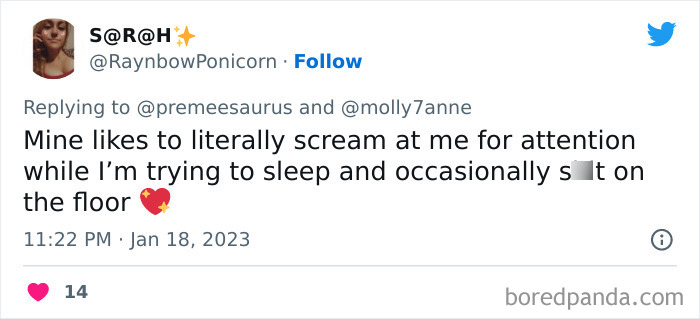 Biggest-Crimes-Committed-By-Cats