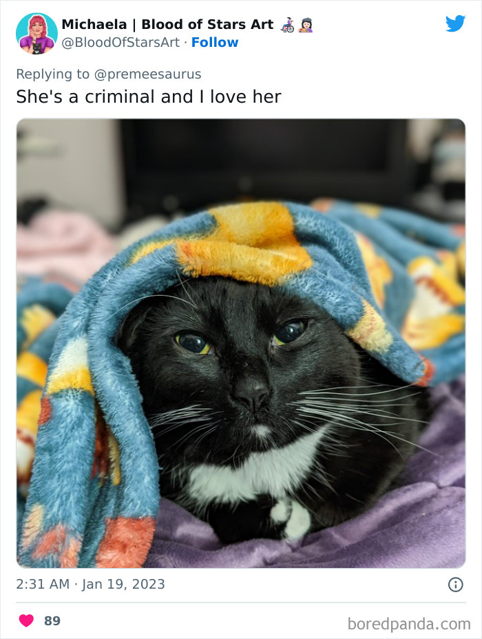 Biggest-Crimes-Committed-By-Cats