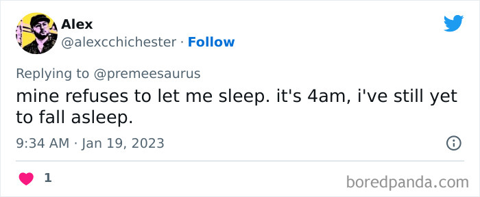 Biggest-Crimes-Committed-By-Cats