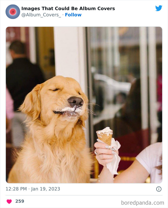 40 Images That Are So Cool And Unusual They Could Totally Work As Album Covers