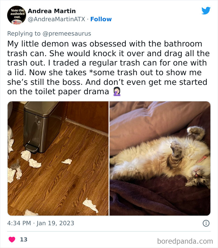 Biggest-Crimes-Committed-By-Cats
