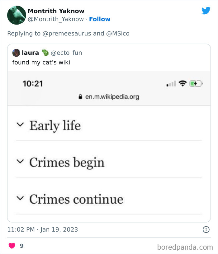 Biggest-Crimes-Committed-By-Cats