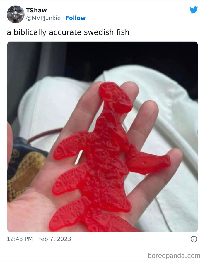 Weird-Food-With-Threatening-Auras-Pics