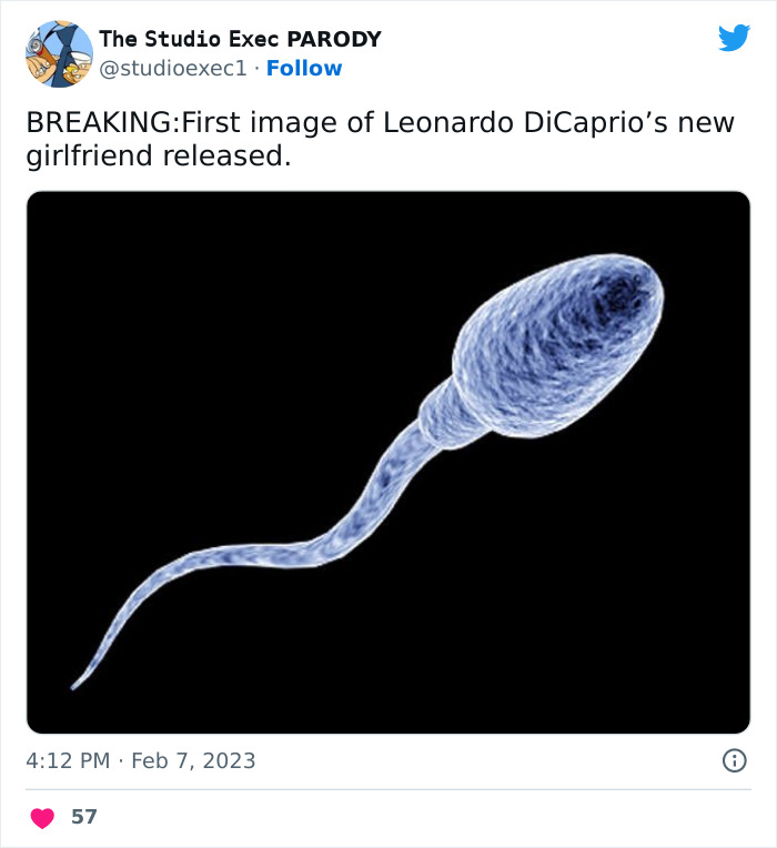 Twitter-Reactions-Leonardo-Dicaprio-Dating