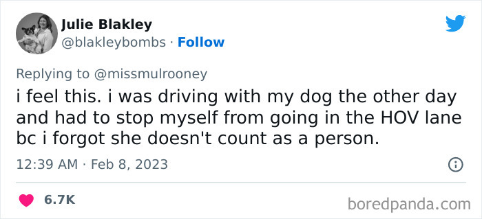 Kids-Realizing-Their-Cats-Dogs-Are-Pets-Not-Humans