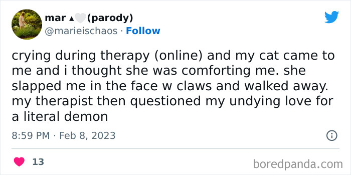 Funny-Tweets-About-Therapy