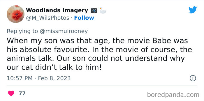 Kids-Realizing-Their-Cats-Dogs-Are-Pets-Not-Humans