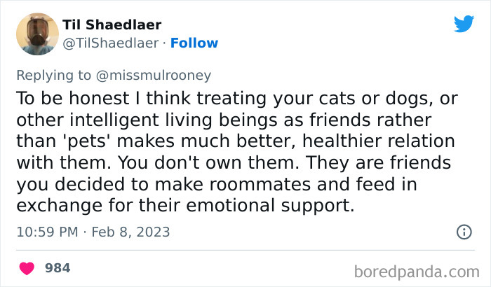 Kids-Realizing-Their-Cats-Dogs-Are-Pets-Not-Humans