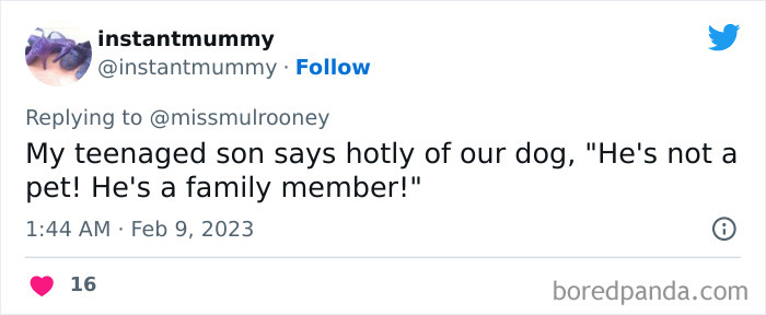 Kids-Realizing-Their-Cats-Dogs-Are-Pets-Not-Humans